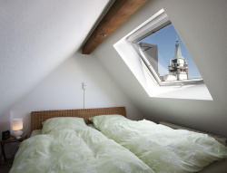 Freiburg Apartment Kater Anton: Ansicht