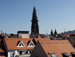 Freiburg Apartment Kater Anton: Ansicht