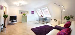 Freiburg Apartment Kater Gerd : Ansicht 2