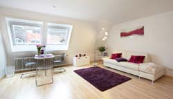 Freiburg Apartment Kater Gerd : Ansicht 4